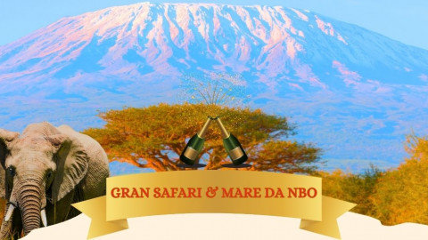 2025 africa gran safari e mare natale e capodanno IN8