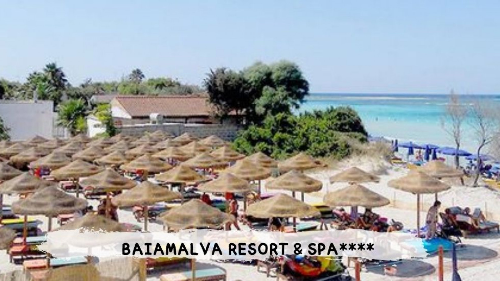 2026 puglia baiamalva IN8