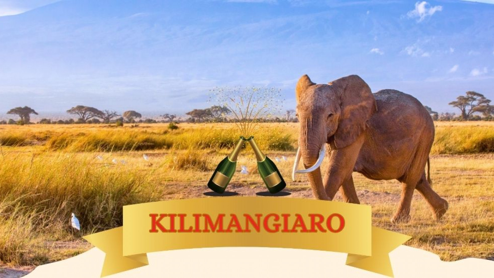 2025 africa kilimangiaro e mare natale e capodanno IN8