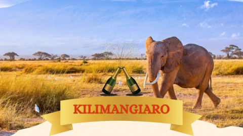 2025 africa kilimangiaro e mare natale e capodanno IN8