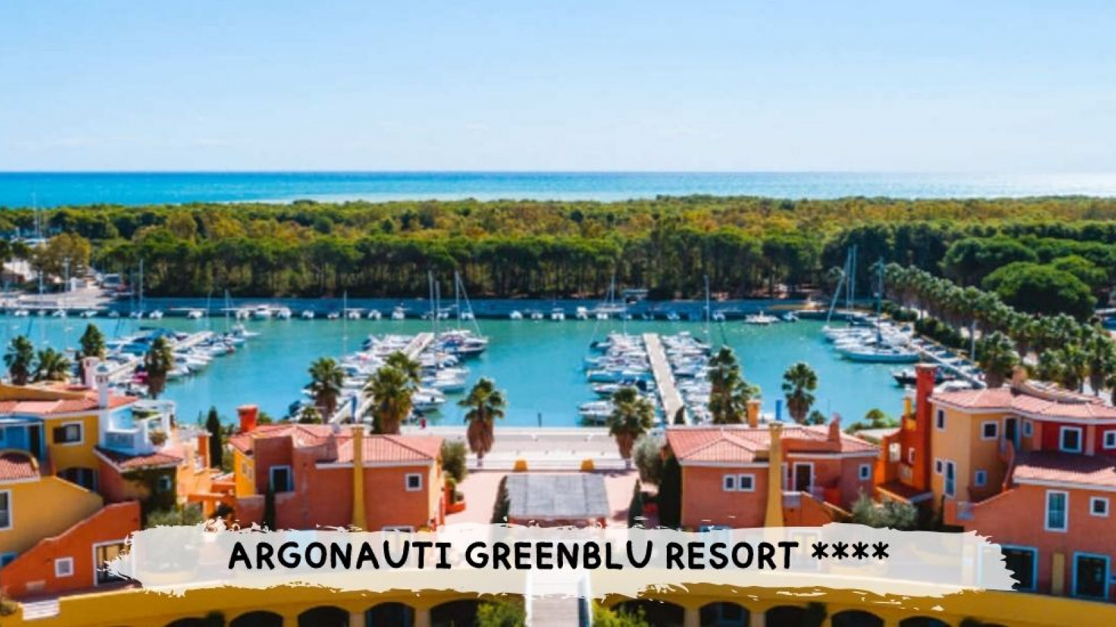 2026 basilicata argonauti IN8