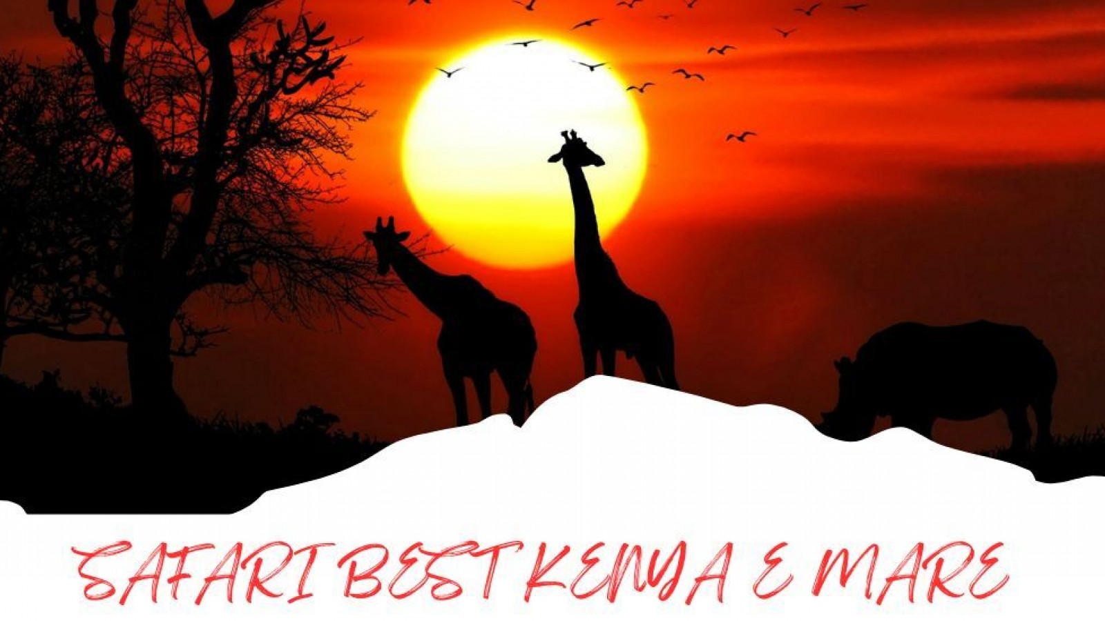 2025 africa best kenia e mare 25 IN8
