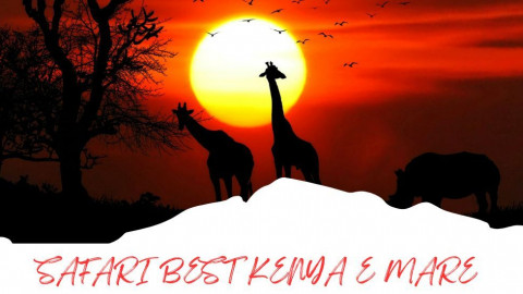 2025 africa best kenia e mare 25 IN8