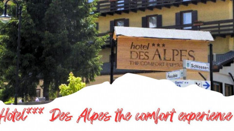2025 trentino estate des alpes IN8