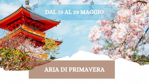 2026 W giappone aria di primavera 19 05 26 IN8