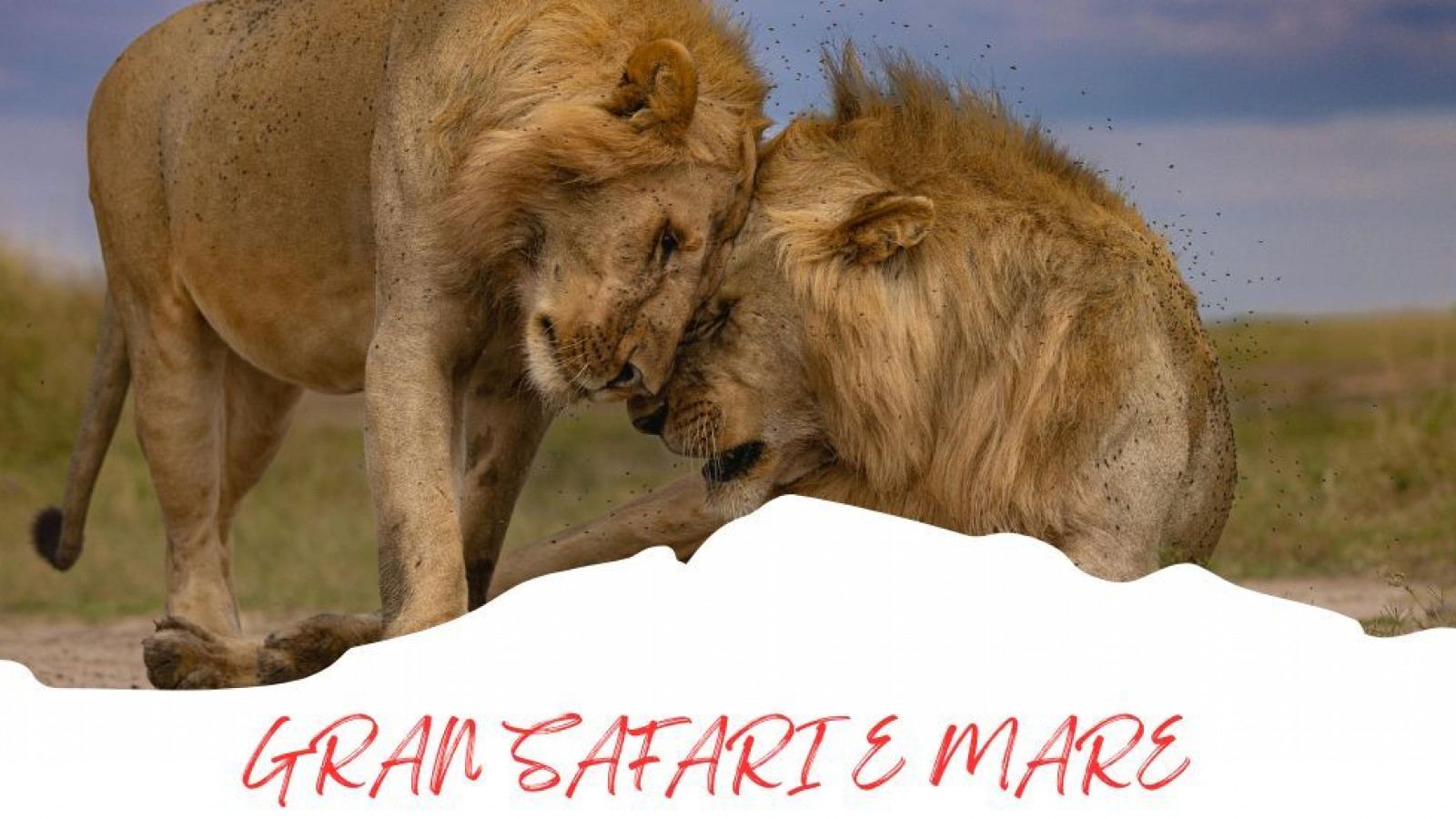 2025 africa gran safari e mare 25 IN8