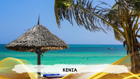 2026 kenya 9,14 08 T IN8