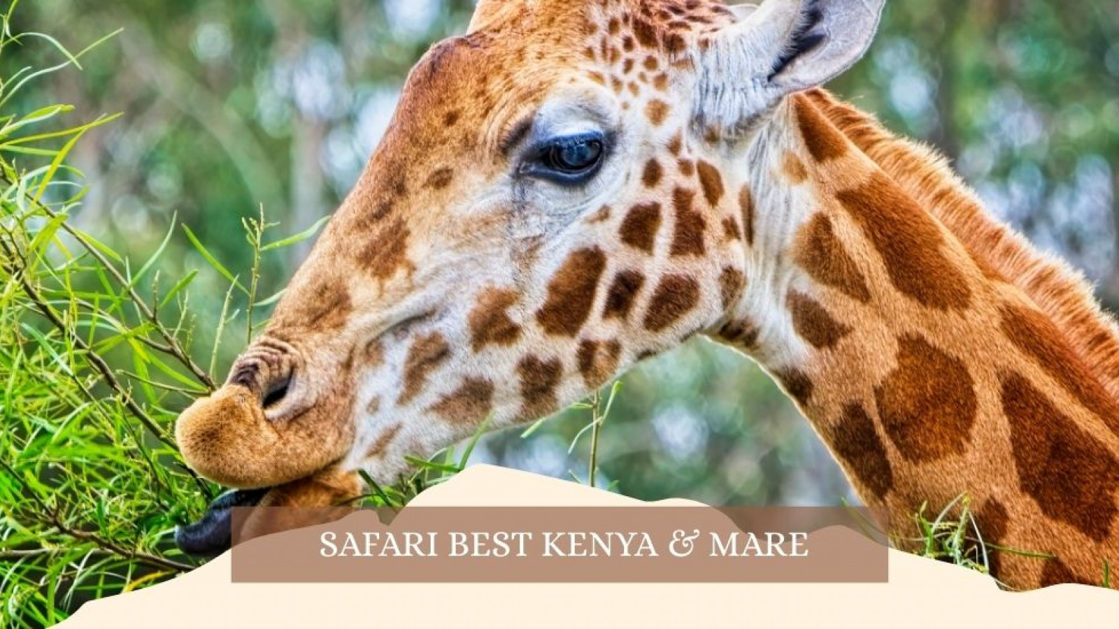 2025 africa best kenia e mare gennaio marzo 26 IN8