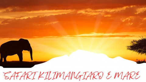 2025 africa kilimangiaro e mare 2025 IN8