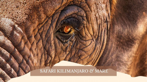2025 africa kilimangiaro e mare gennaio marzo 2025 IN8