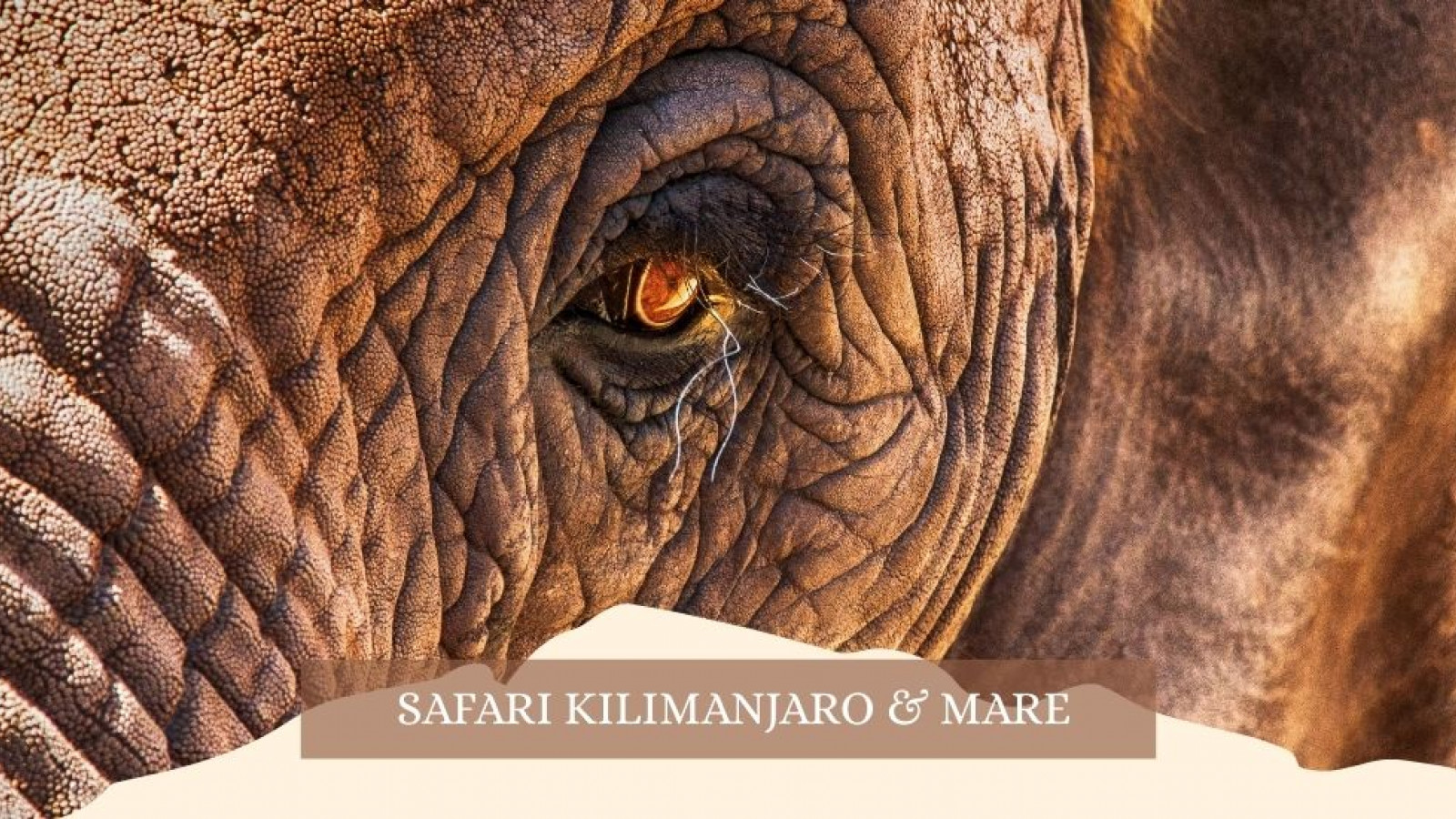 2025 africa kilimangiaro e mare gennaio marzo 2025 IN8