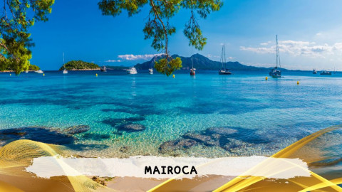 2026 maiorca 11 agosto napoli T IN8