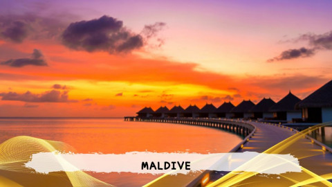 2026 maldive 8,14 agosto T IN8