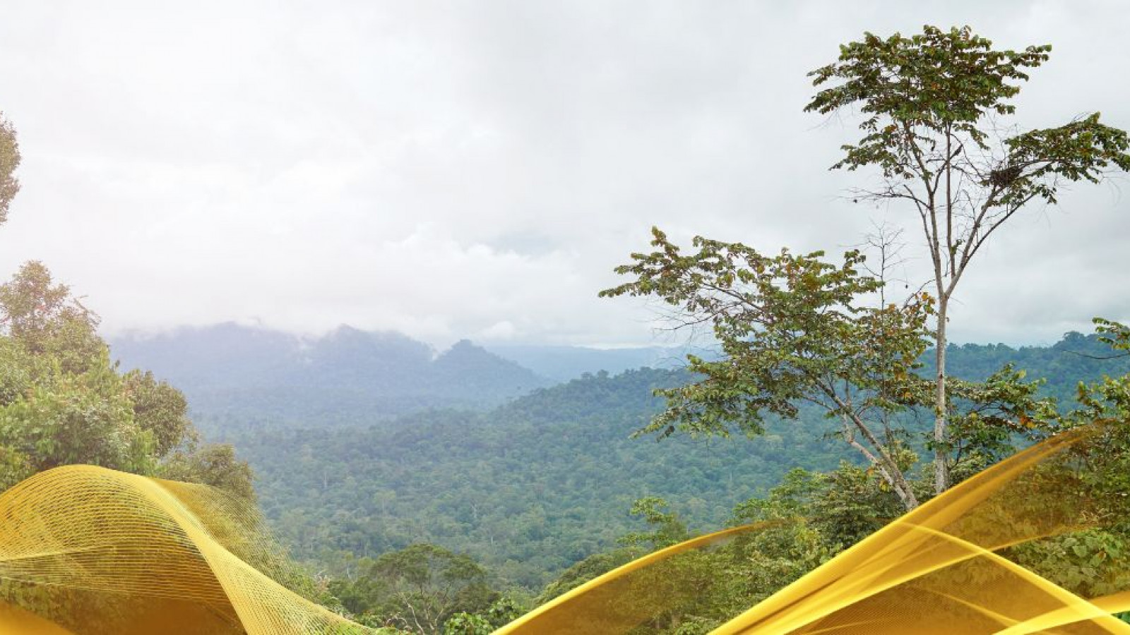 2026 malesia tour mare e altopiani 9 08 O IN8