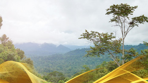 2026 malesia tour mare e altopiani 9 08 O IN8