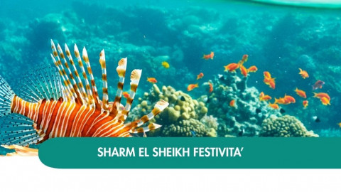 2026 sharm el sheikh queen festivita T IN8