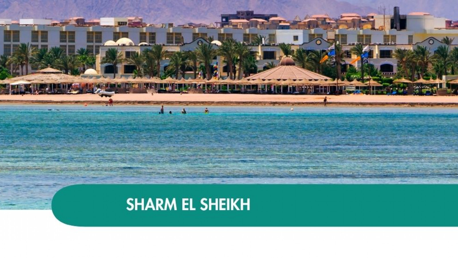 2026 sharm el sheikh queen immacolata T IN8