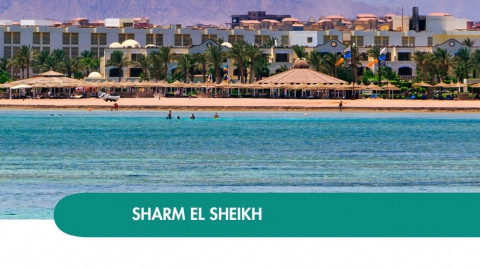 2026 sharm el sheikh queen immacolata T IN8