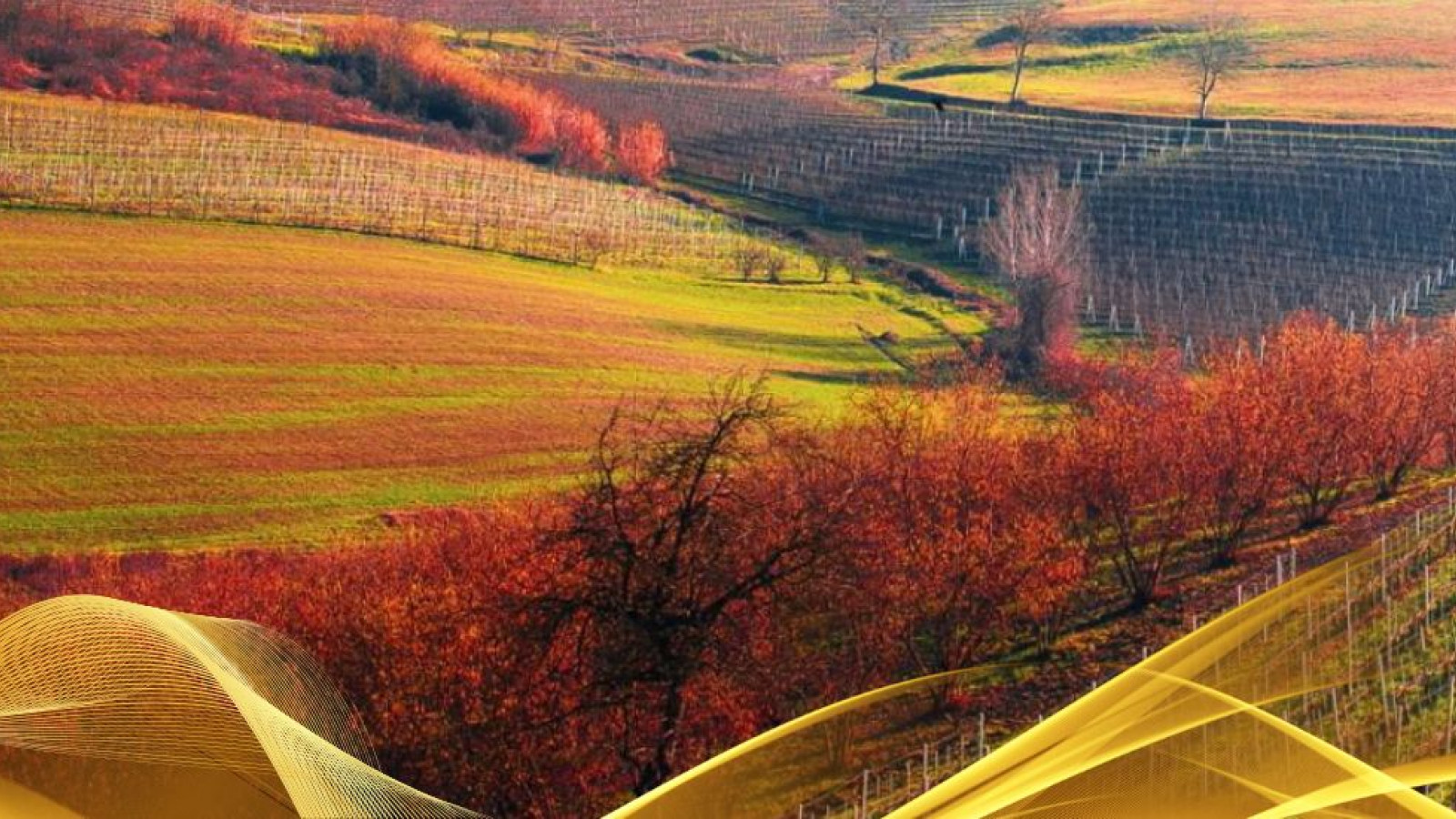 2026 W torino e le langhe 30 05 IN8