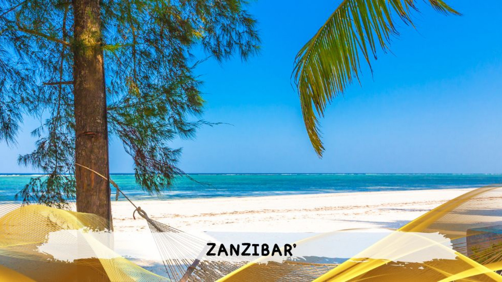 2026 zanzibar 11 08 T IN8