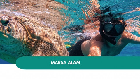 2026 marsa alam halloween T IN8