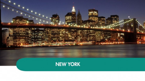 2026 new york halloween T IN8