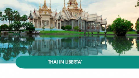 2026 thailandia halloween T IN8